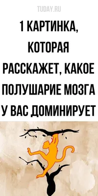 Влад Селиванов 22 ч. Даю 5 СОВЕТОВ ПСИХОЛОГА: как оказать поддержку  человеку в ситуации психолог / советы :: вредные советы :: психология /  смешные картинки и другие приколы: комиксы, гиф анимация, видео, лучший  интеллектуальный юмор.