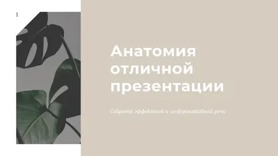 Презентация по теме \"Политическая психологи, поведение, сознание\" 11 класс  асс