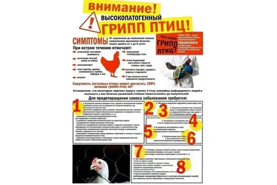 Птичий грипп профилактика | Гаврилов-Ямская ЦРБ