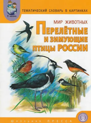 Раскраски птицы россии (44 фото) » Картинки, раскраски и трафареты для всех  - Klev.CLUB