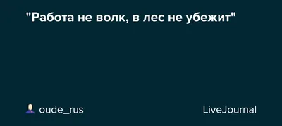 Мужская Футболка Работа не волк (Ч/Б) (VLF-971393-fut-2) с принтом, купить  в PrintFact