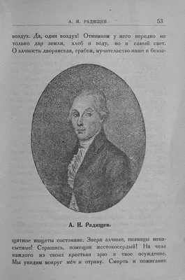 Радищев | Форш Ольга Дмитриевна - купить с доставкой по выгодным ценам в  интернет-магазине OZON (542731522)