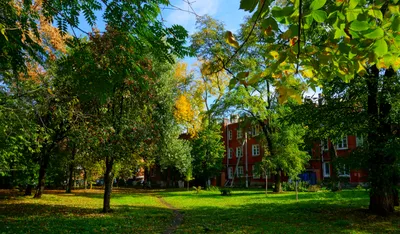 Картина Ранняя осень, художник Вячеслав Чердаков