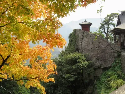 Ранняя осень в парке, Парковая аллея, Деревья, Дорога, Крона, Листья,  Листопад, Осень (5544x3632) - обои для рабочего стола