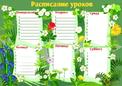 Расписание уроков А4 Феникс АВОКАДО-КОТИКИ арт.52276 /1/50/100 — купить в  городе Владивосток, цена, фото — Гринлэнд