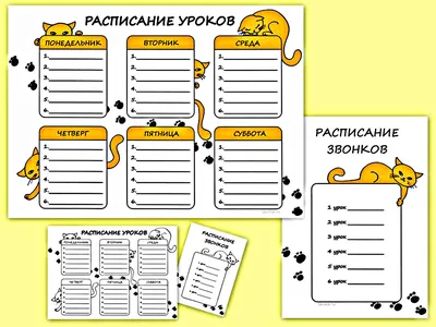 Печать расписания уроков в школе, купить заполняемую таблицу СПб