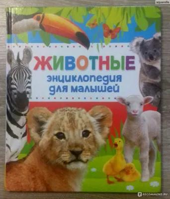 Книги для детей от 0 до 7 лет | myDecor