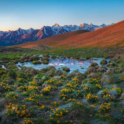 Картинки на рабочий стол рассвет - фото и картинки: 70 штук