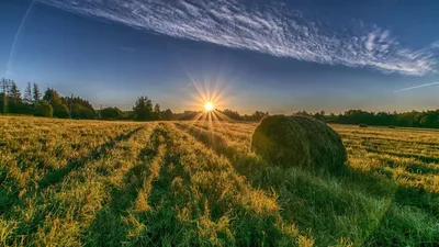 Рассвет обои на рабочий стол - фото и картинки: 50 штук