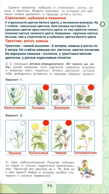 Картинки растений пресных водоемов