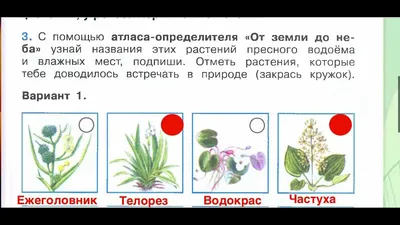 PPT - Жизнь пресного водоема PowerPoint Presentation - ID:4772289