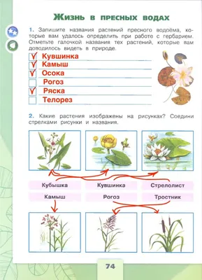 Атлас определитель От земли до неба. Растения водоемов и влажных мест