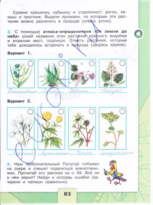 Презентация на тему: \"Жизнь пресного водоема. Пресно- водный водоем  прудрекаозеро.\". Скачать бесплатно и без регистрации.