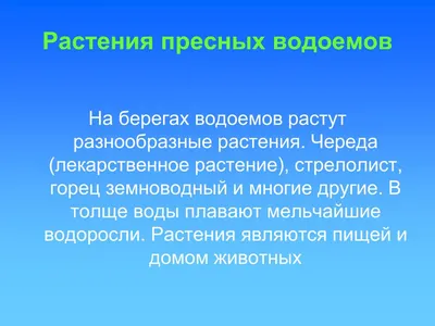 Растения пресного водоема - фото и картинки: 59 штук