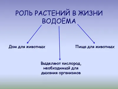 Презентация по окружающему миру на тему \"Жизнь в пресном водоеме\"