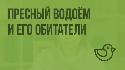 Презентация \"Жизнь пресного водоёма\" (4 класс) по окружающему миру –  скачать проект