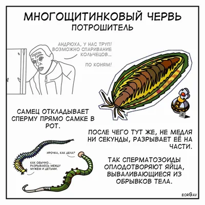 Эволюционная необходимость