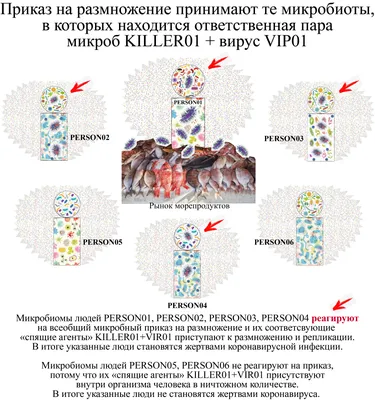 Секс древних людей с приматами и почему Солнце никогда не станет сверхновой  - BBC News Русская служба