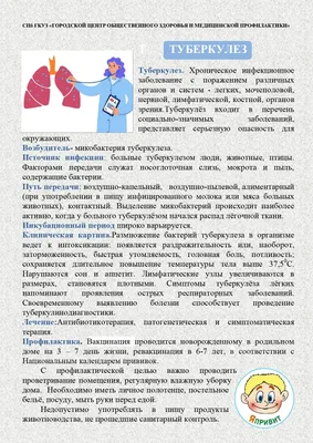 Как... размножаются в природе? | Сергей Костенко | Дзен