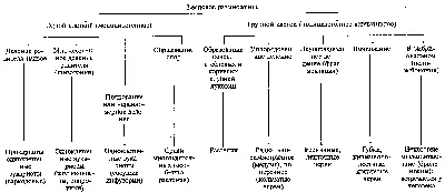 Антропогенез, предки человека и основные этапы его эволюции