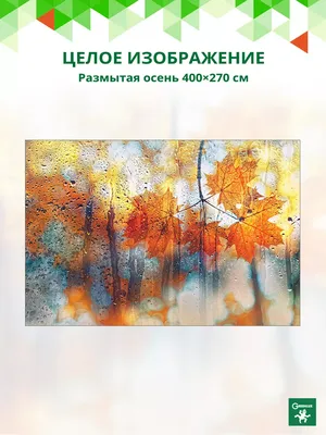 размытая кошачья стружка и бурдоки с небом и облаками на заднем плане.  дикая трава в Натуэстетическом минимализме Стоковое Фото - изображение  насчитывающей взорвать, воздушной: 241494548