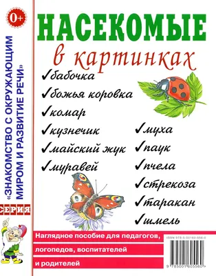 🔰Развитие речи по теме:\"Насекомые\"🔰 | Наталья Логопед | Дзен