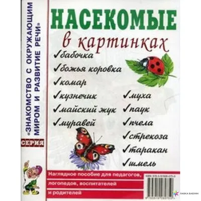 Курс \"Насекомые: секреты эволюционного успеха\" (Санкт-Петербург) - Центр  \"Архэ\"