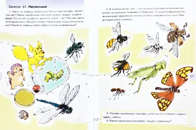 Orthetrum cancellatum - Стрекозы Беларуси (Odonata of Belarus)