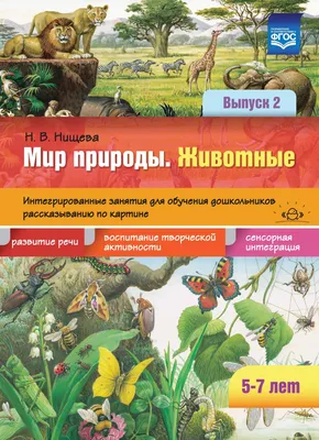 Теневое лото «Насекомые» - Игры на липучках | Раннее развитие