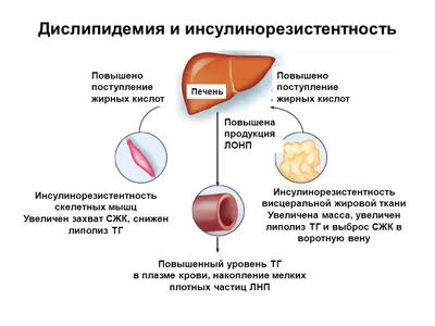 Клинические рекомендации. Что это такое и для чего они нужны?