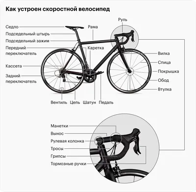 Как выбрать велосипед: виды, где купить, как ухаживать, какая нужна  экипировка