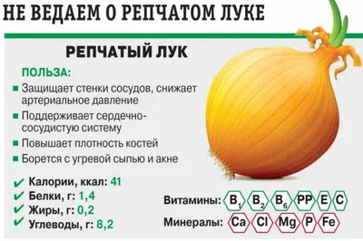 Репчатый лук защитит от простуды | Проект Роспотребнадзора «Здоровое  питание»