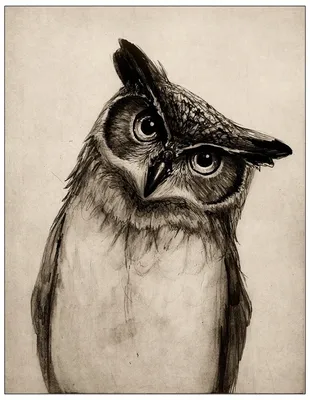 Сова карандашом owl in pencil | Рисунок совы, Рисунки животных, Эскизы  животных