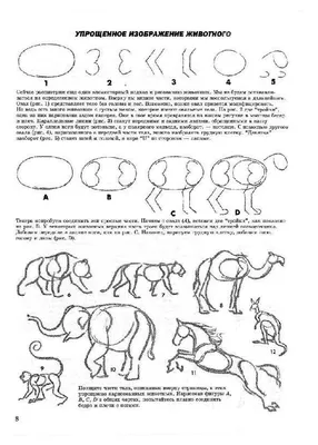 Книга Как Рисовать Животных - купить самоучителя в интернет-магазинах, цены  на Мегамаркет | 662935