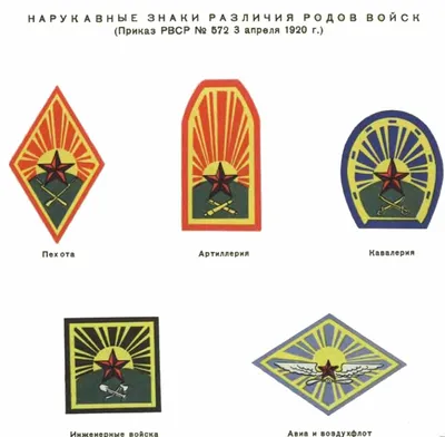 Как устроена российская армия: кто командует армией России, из чего она  состоит и какие задачи стоят перед Минобороны?: Оружие: Наука и техника:  Lenta.ru