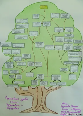 Генеалогическое древо заказать оформление в Москве: 25 историков-генеалогов  со средним рейтингом 4.9 с отзывами и ценами на Яндекс Услугах.