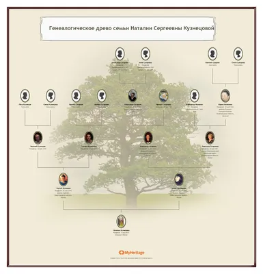 Заказать генеалогическое древо семьи - Портреты и шаржи на заказ в  Челябинске