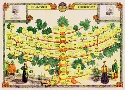 Как составить генеалогическое древо семьи самостоятельно