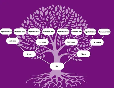 Заказать генеалогическое древо семьи - Портреты и шаржи на заказ в  Санкт-Петербурге