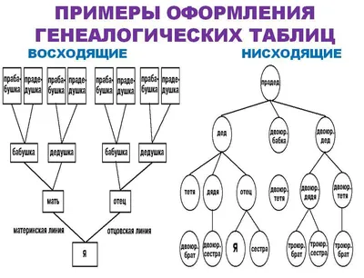 Генеалогическое древо