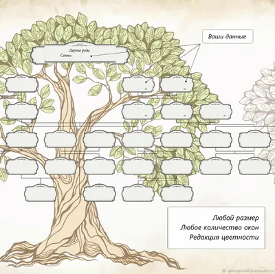 Как сделать генеалогическое древо: инструкции и шаблоны