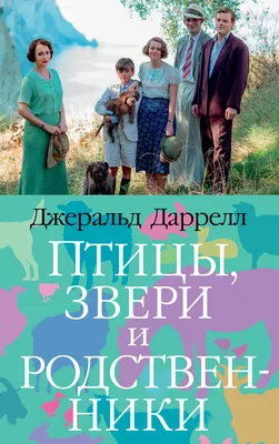 Врач, пациент, родственники: трудности коммуникации — Про Паллиатив