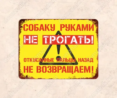 Футболка женская Руками не трогать (Do not touch) (8976-1786-4) XL Черная  от продавца: Creativen – в интернет-магазине ROZETKA | Купить в Украине:  Киеве, Харькове, Днепре, Одессе, Запорожье, Львове