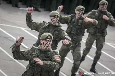 Армейский рукопашный бой. Специально-подготовительные упражнения в партере.  Учебно-методиское пособие (Владимир Авилов) - купить книгу с доставкой в  интернет-магазине «Читай-город». ISBN: 978-5-98-857552-8