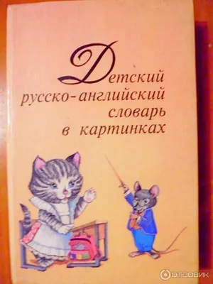 Русско английский словарь в картинках обои