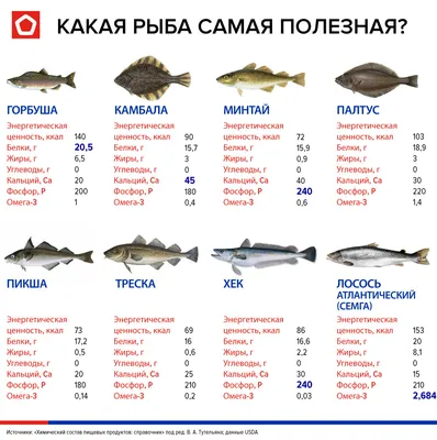 Как правильно измерить рыбу, чтобы не попасть на штраф от инспектора? —  Даурское.ру — Отдых на Красноярском море.