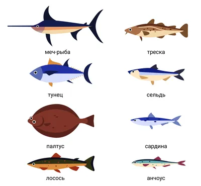 Мнение диетологов: какая рыба самая полезная для организма человека - 20  сентября 2022 - 74.ру