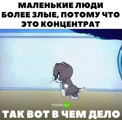 3 ( Владимир успешно обучается в колледже, в свободное время подрабатывает  курьером в фирме. Он — д / Владимир Олег :: смешные картинки (фото приколы)  / смешные картинки и другие приколы: комиксы,