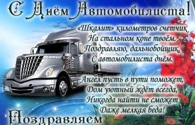 День Дальнобойщика! — MAN TGA 18 430, 9,9 л, 2018 года | просто так | DRIVE2