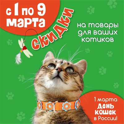 Поздравляем с Днем российских кошек! — Свердловский областной краеведческий  музей имени О.Е. Клера